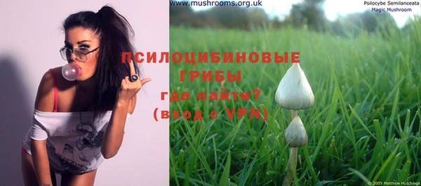 PSILOCYBIN Алексин