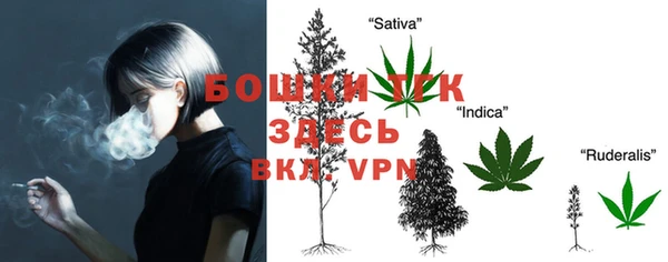 PSILOCYBIN Алексин