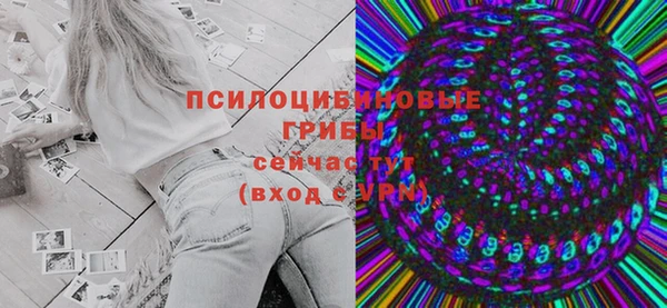 PSILOCYBIN Алексин