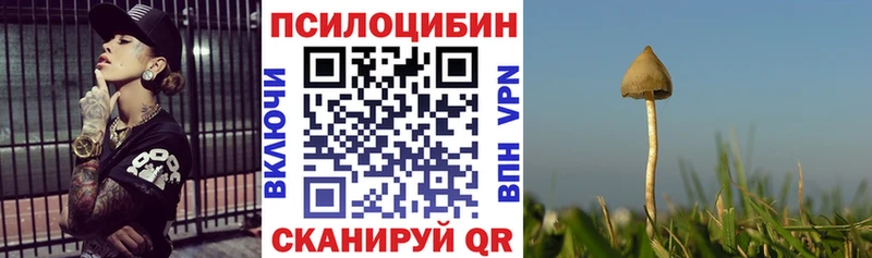 Купить где  Курганинск  Псилоцибиновые грибы ЛСД 